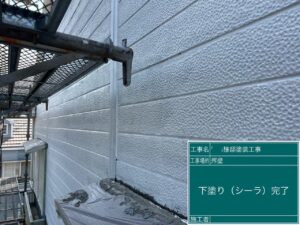 カチオン塗布