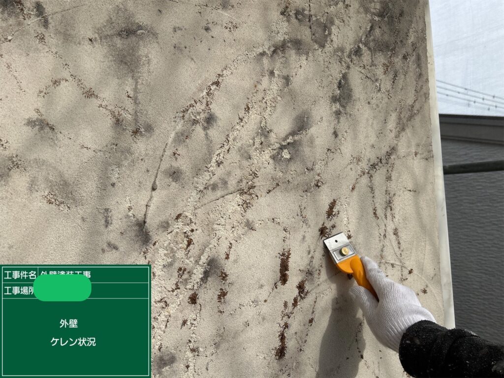 外壁ツタの除去