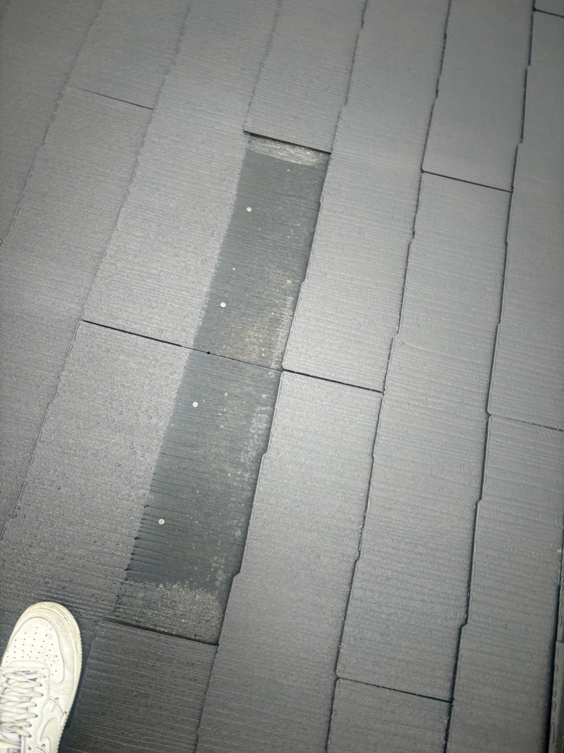 コロニアル除去完了